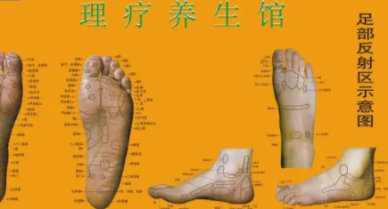 足疗反射区